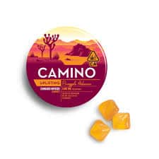 Uplifting Pineapple Habanero [20pk] (100mg THC)